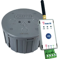 AES E-Loop Wireless Vehicle Detection | Commercial - Exit